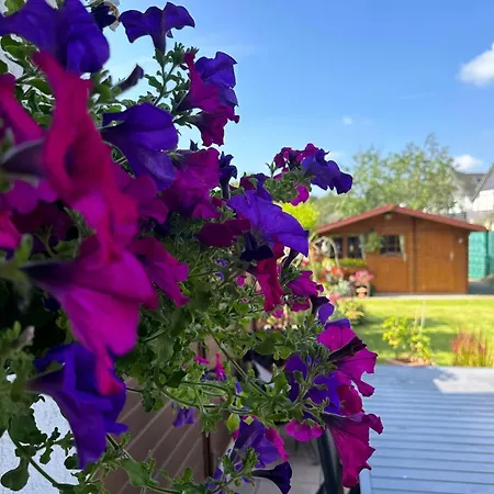 Alloggio in famiglia Bei Renate Am Gruenen *