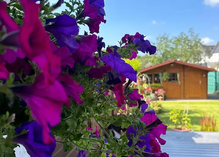 Privat bolig Bei Renate Am Gruenen *